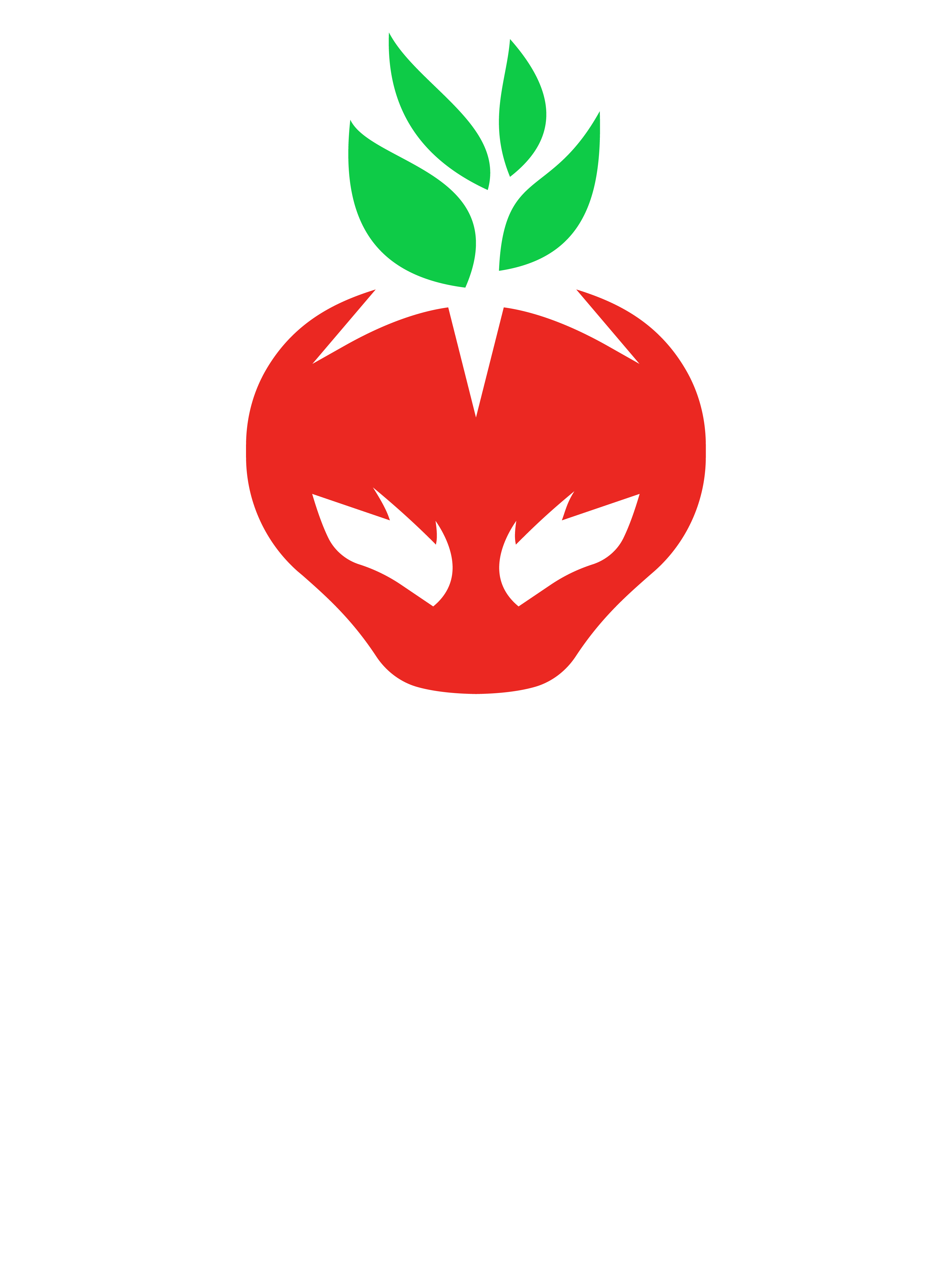 Sinaloa Gaming Logo